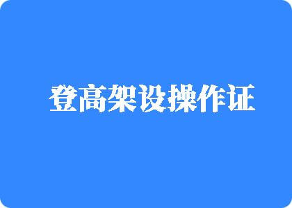 大鸡吧草骚逼视频免费看登高架设操作证